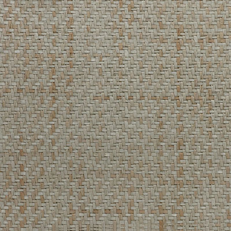 A-2993 - Celulosa - Color 1051